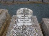 image of grave number 646591